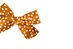 Mustard Dots - Mama & Mini Set