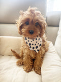 Custom Pet Dog/Cat Bandana